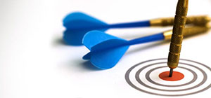 maitrix infotech mission