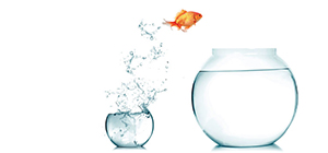 maitrix infotech strength